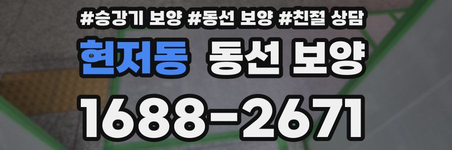 현저동 동선 보양