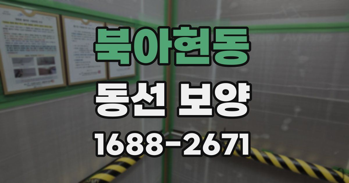 북아현동 동선 보양