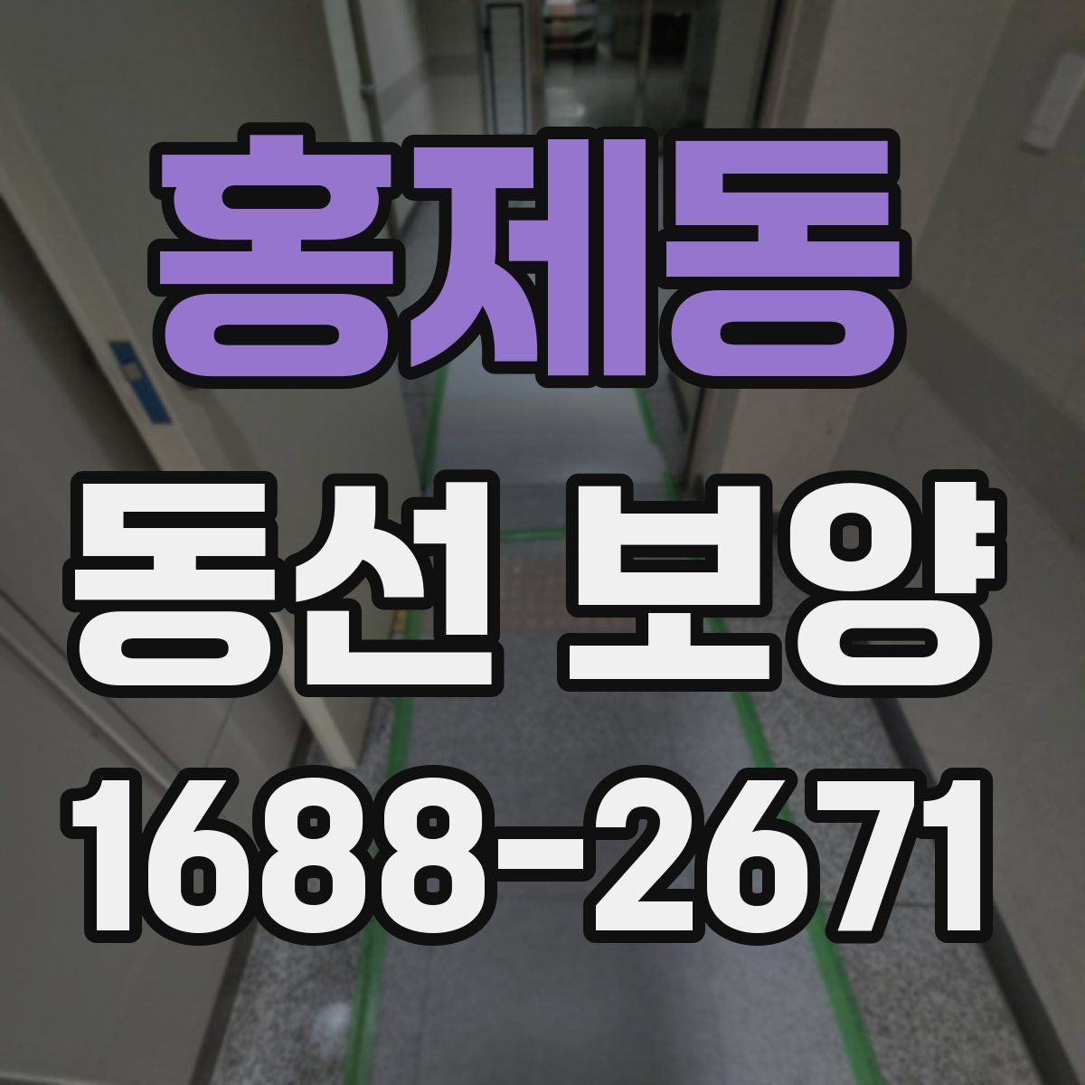 홍제동 동선 보양
