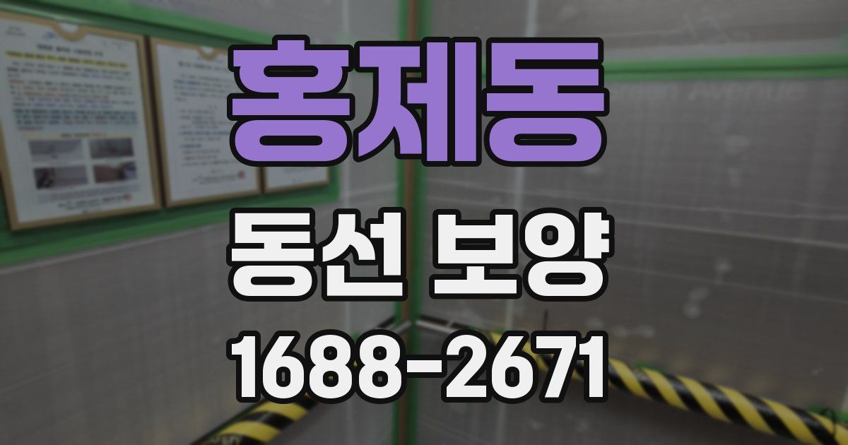 홍제동 동선 보양