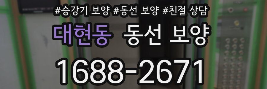 대현동 동선 보양