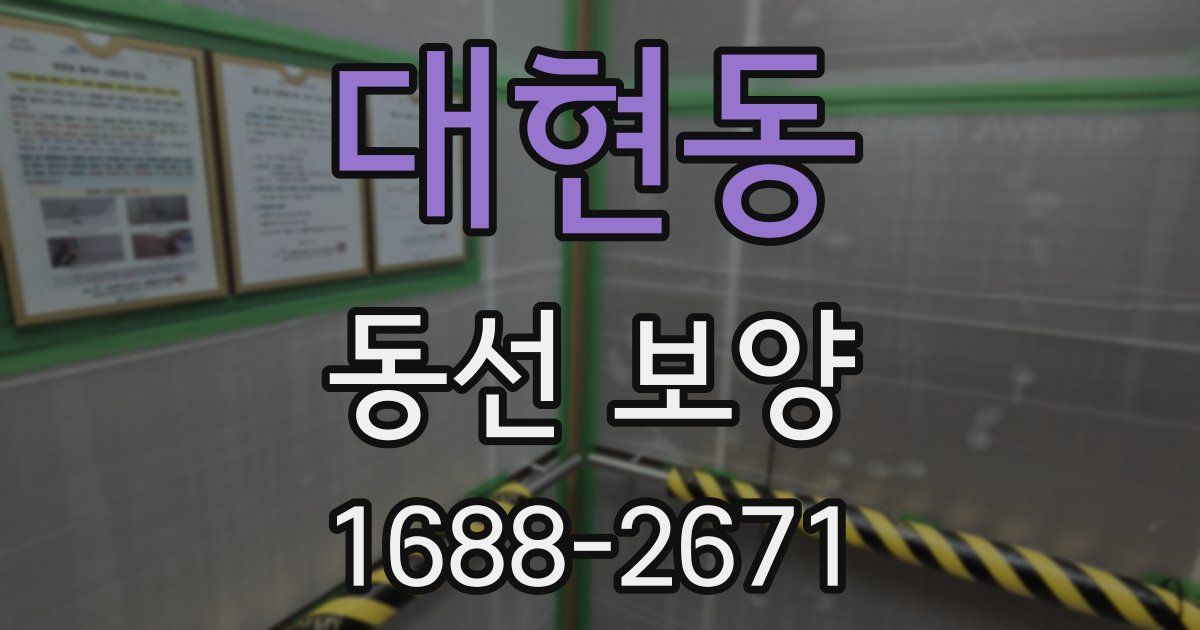 대현동 동선 보양