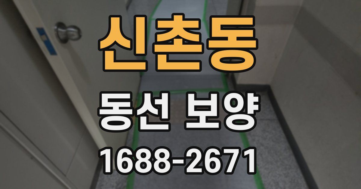 신촌동 동선 보양