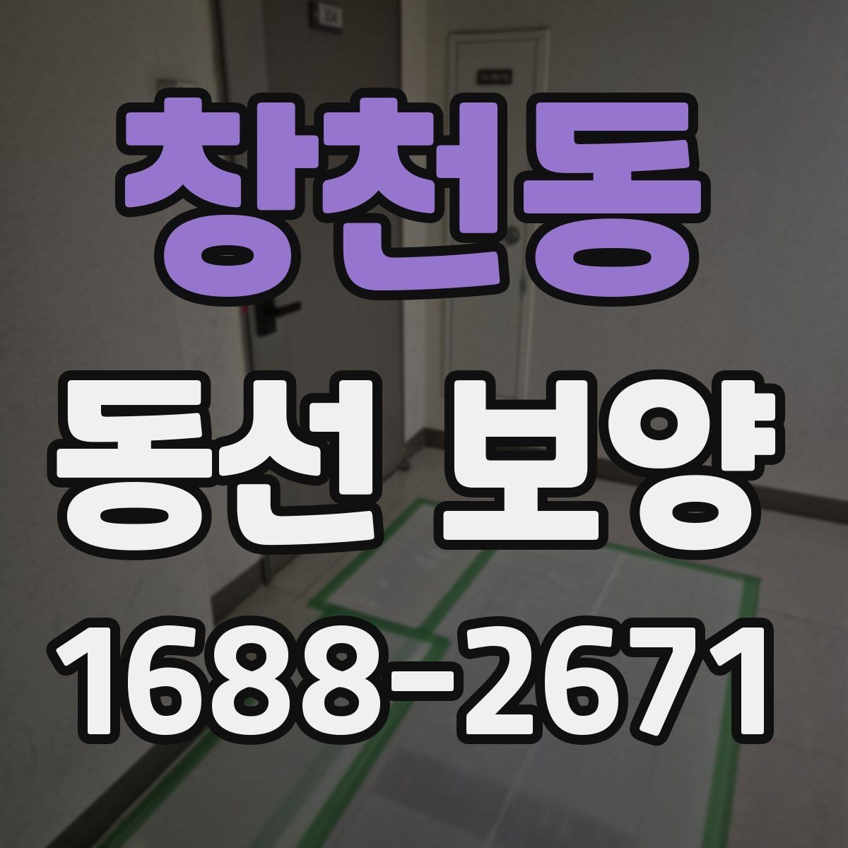 창천동 동선 보양 일정이 꼬이지 않도록 조율하는 법