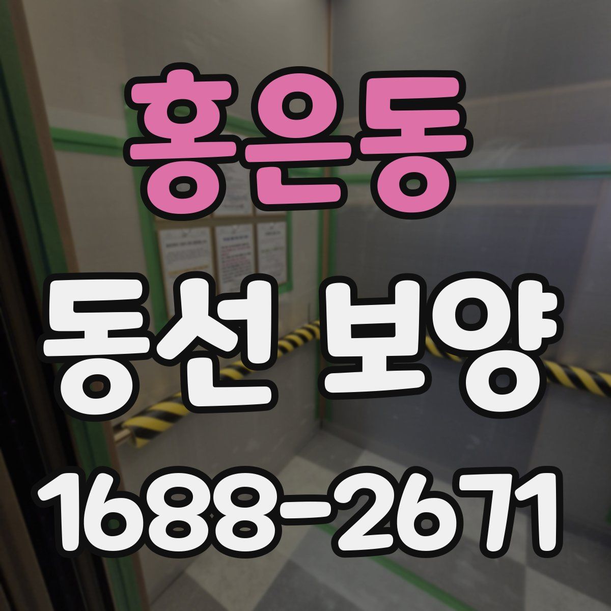 홍은동 동선 보양
