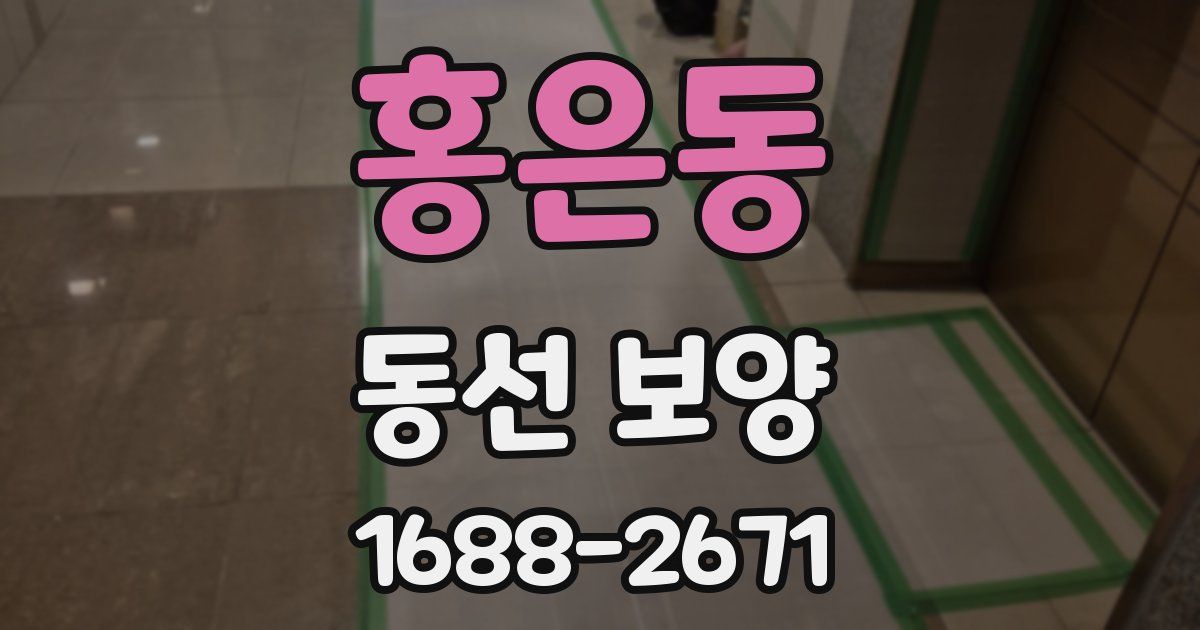 홍은동 동선 보양