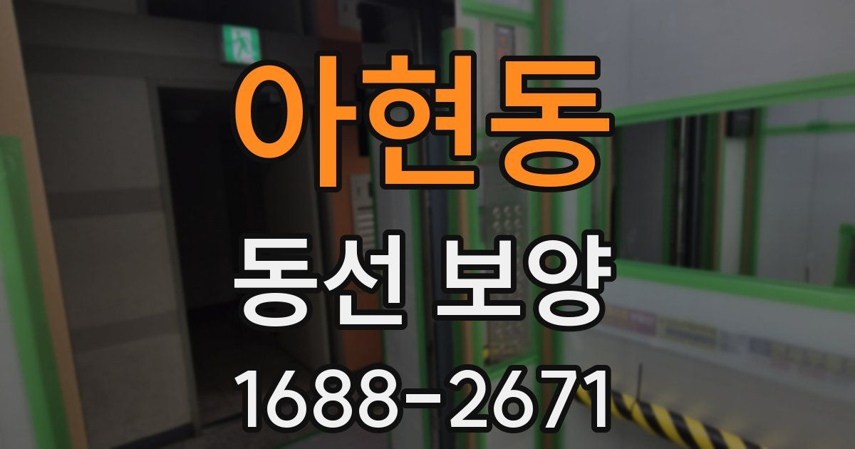 아현동 동선 보양