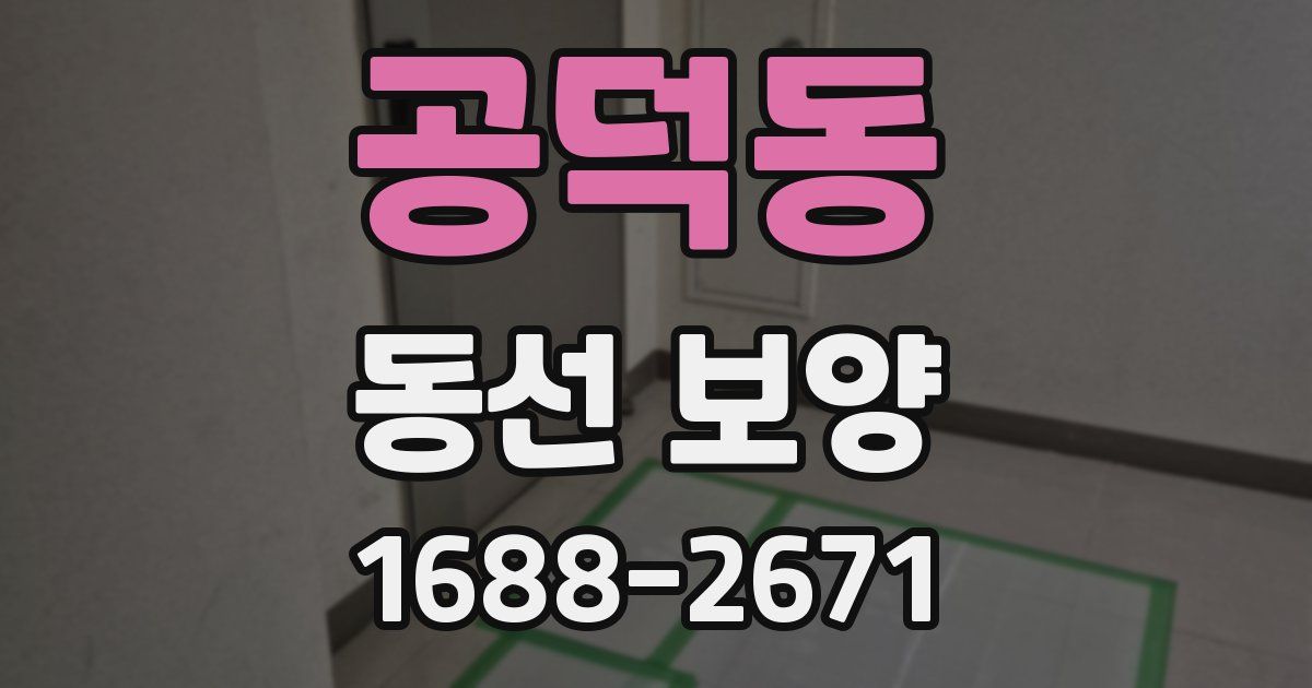 공덕동 동선 보양