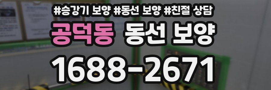 공덕동 동선 보양