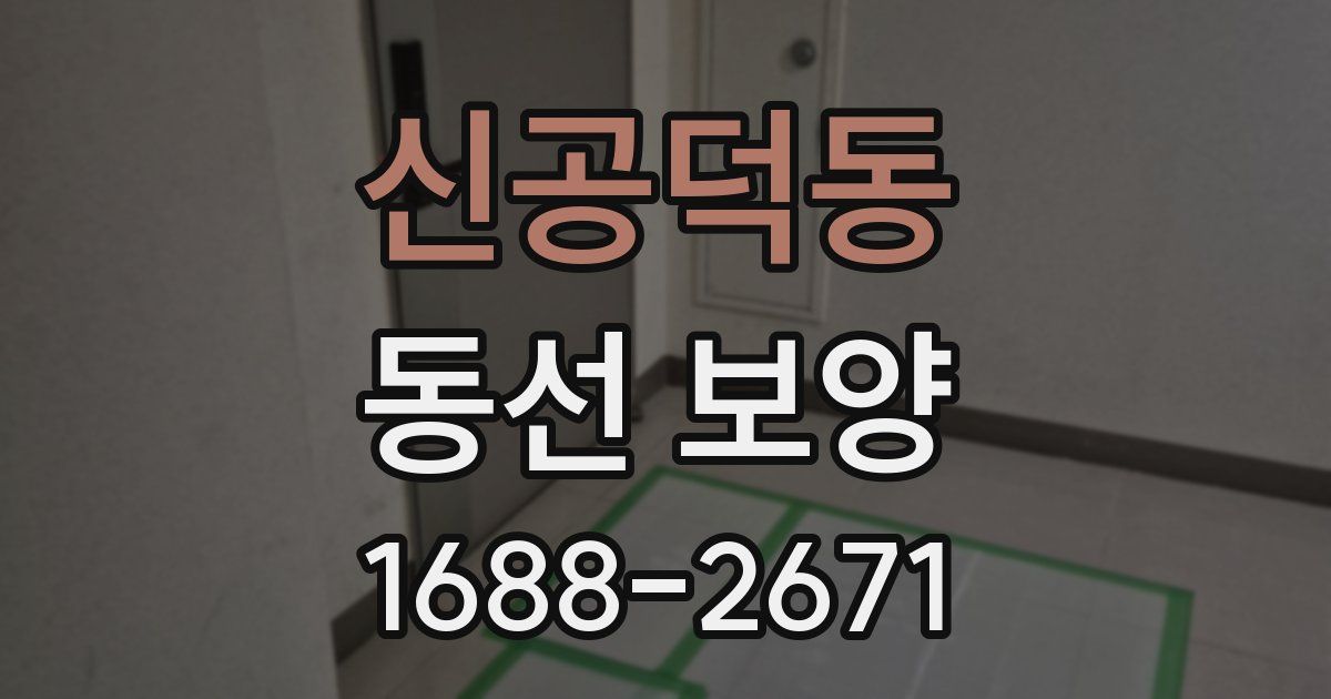신공덕동 동선 보양