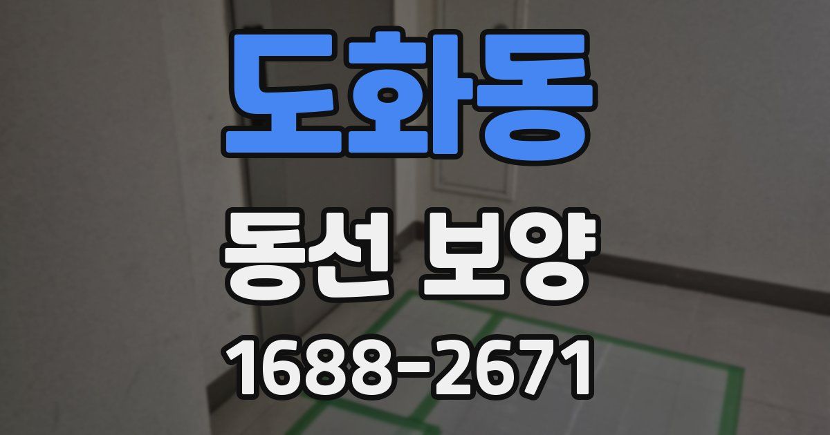 도화동 동선 보양