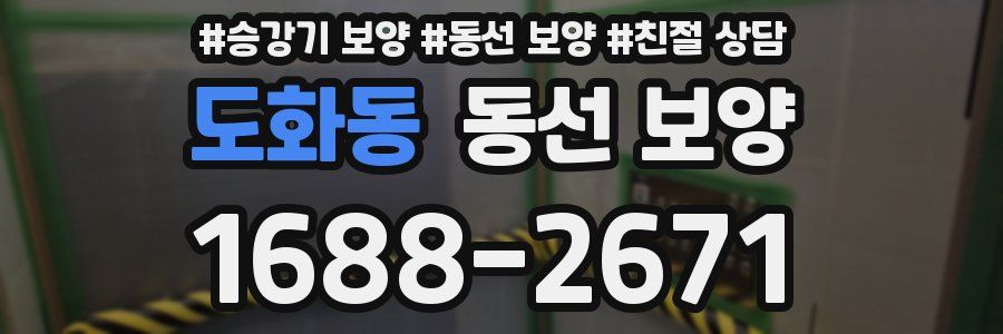 도화동 동선 보양