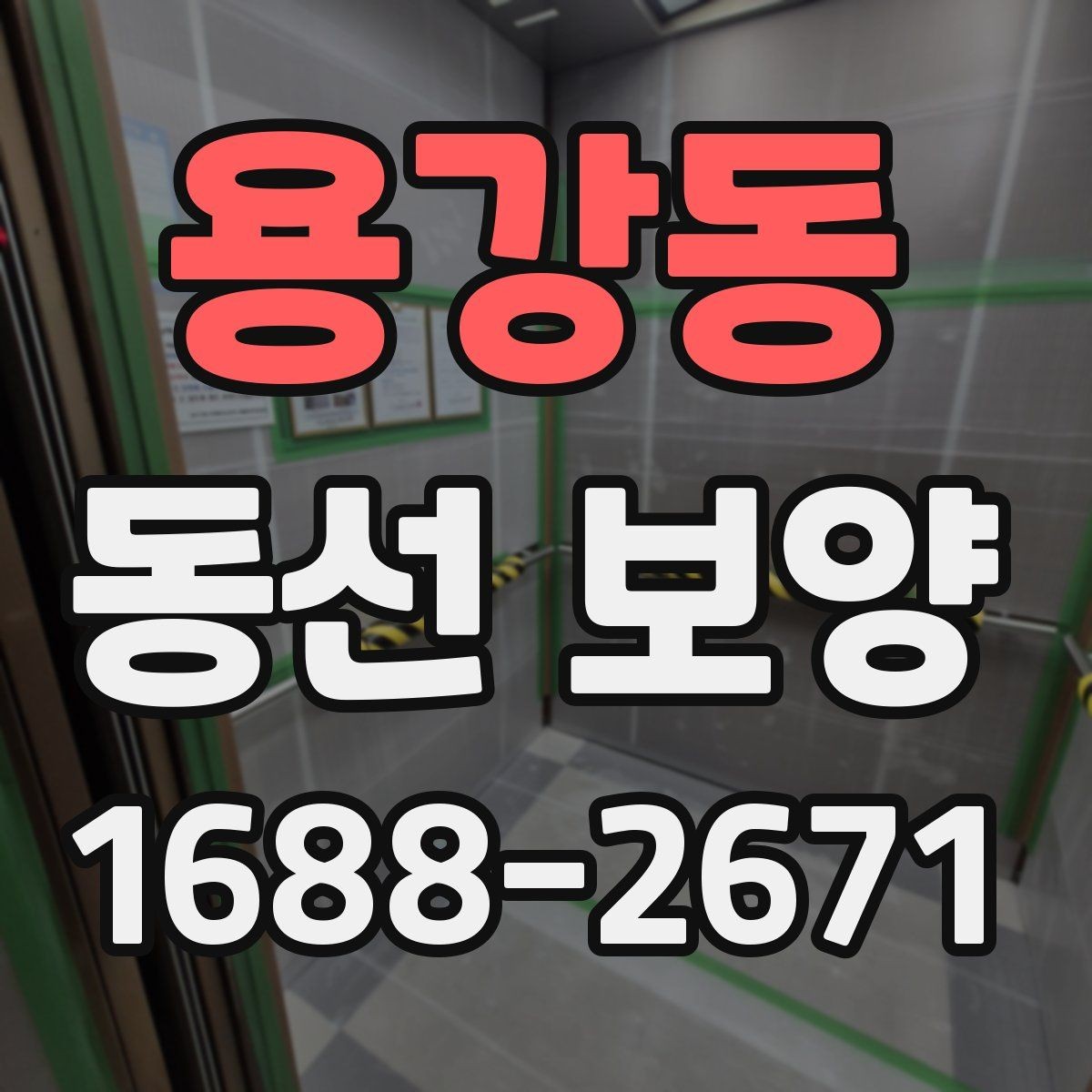 용강동 동선 보양 공정이 필요한 이유 살펴보기