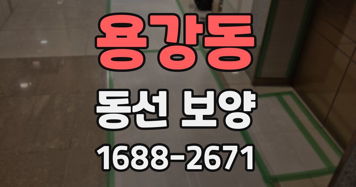 용강동 동선 보양