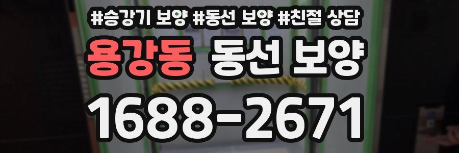 용강동 동선 보양