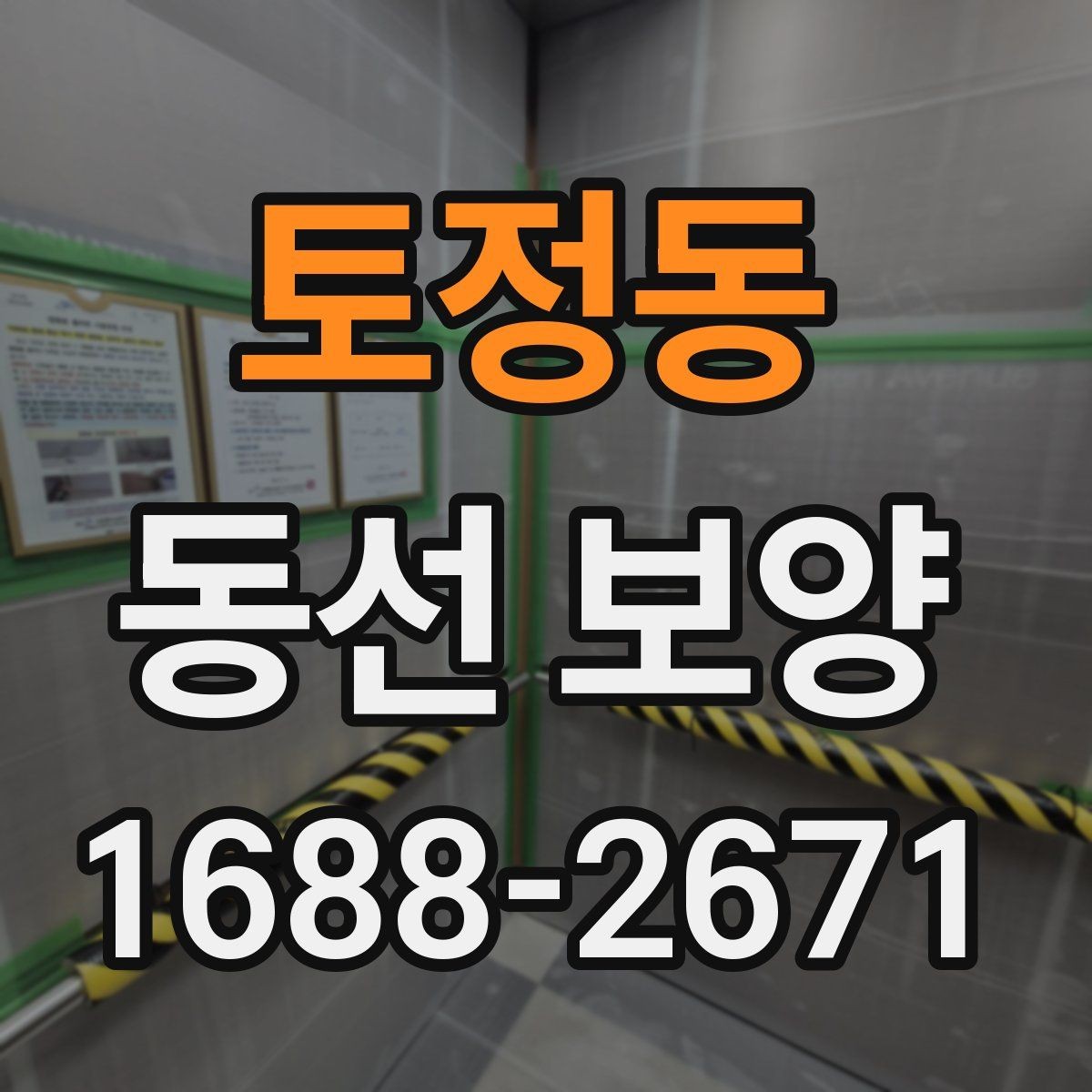 토정동 동선 보양 자재별 장단점 한눈에 보기