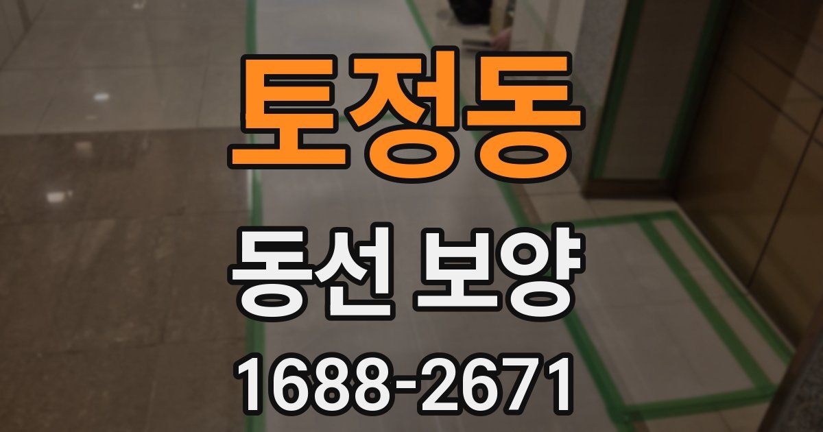 토정동 동선 보양