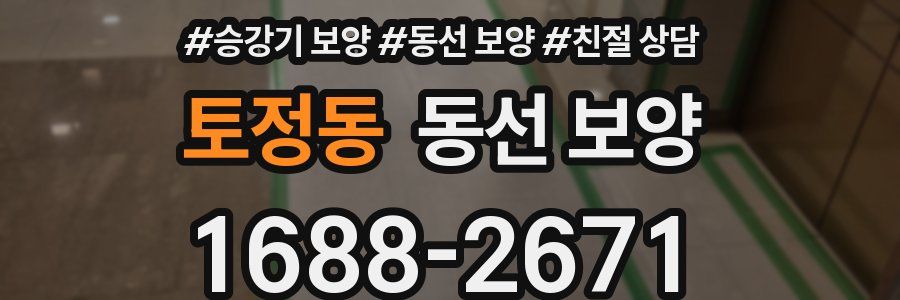 토정동 동선 보양
