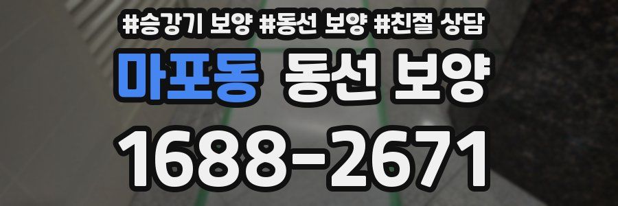 마포동 동선 보양