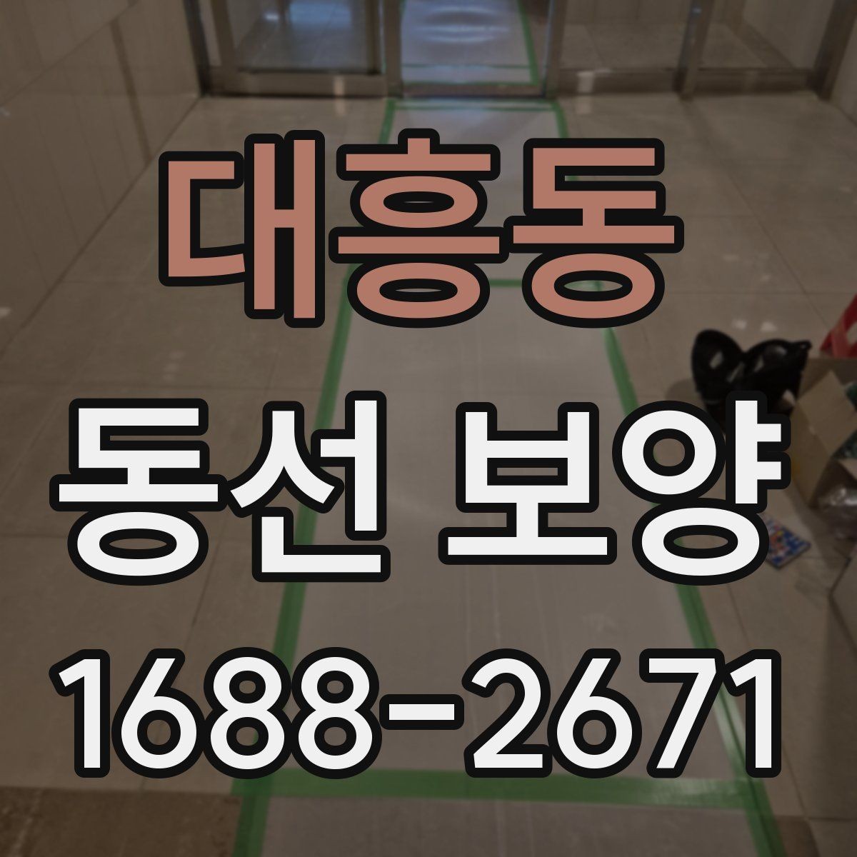 대흥동 동선 보양 비용을 줄이기 위한 선택 기준