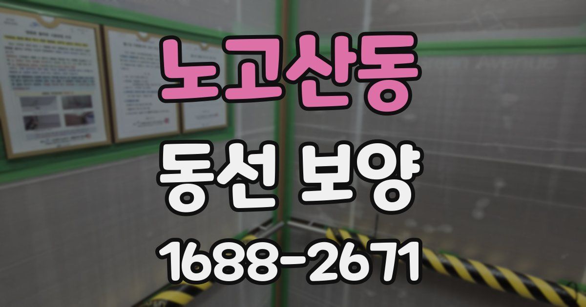 노고산동 동선 보양