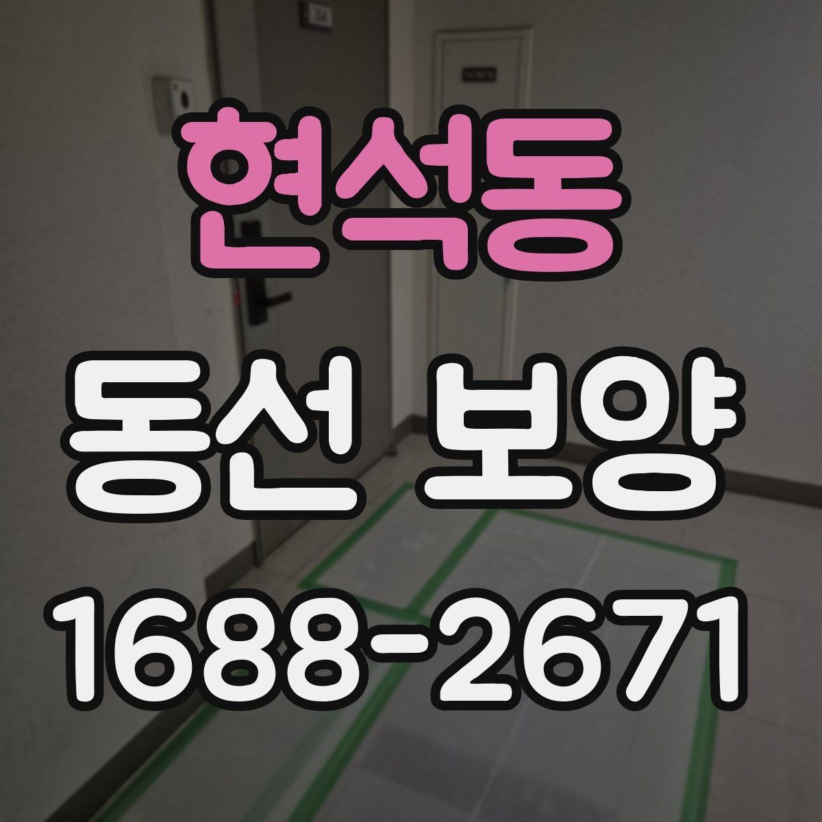 현석동 동선 보양 작업 전 체크해야 할 사항