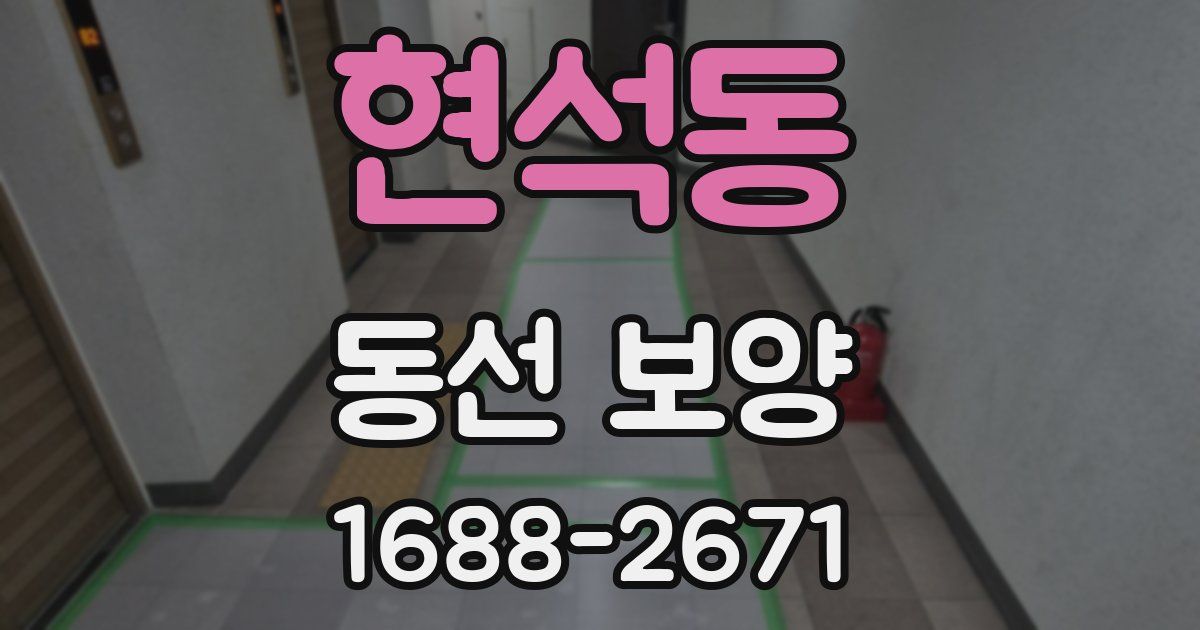 현석동 동선 보양