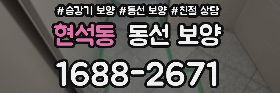 현석동 동선 보양