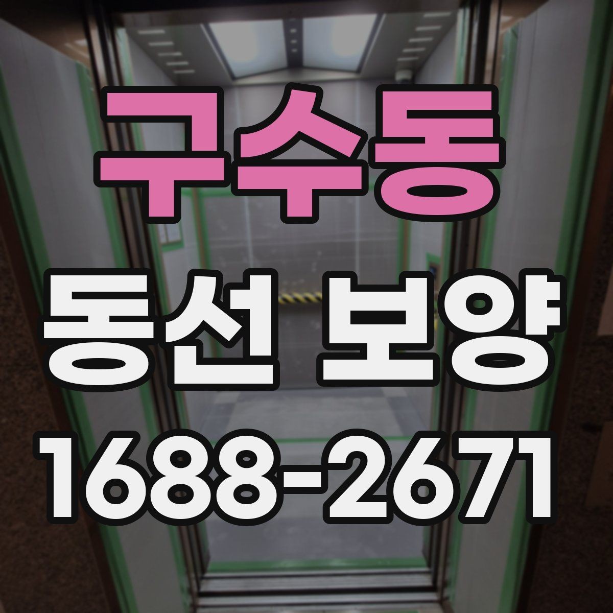 구수동 동선 보양 적용 사례를 통해 보는 차이