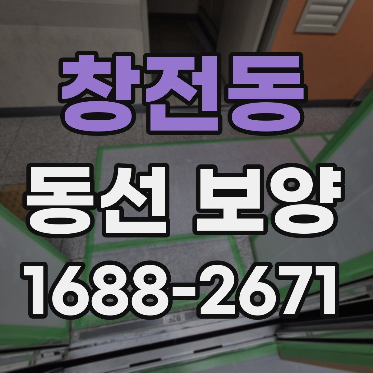 창전동 동선 보양 후 유지 관리를 고려한 선택