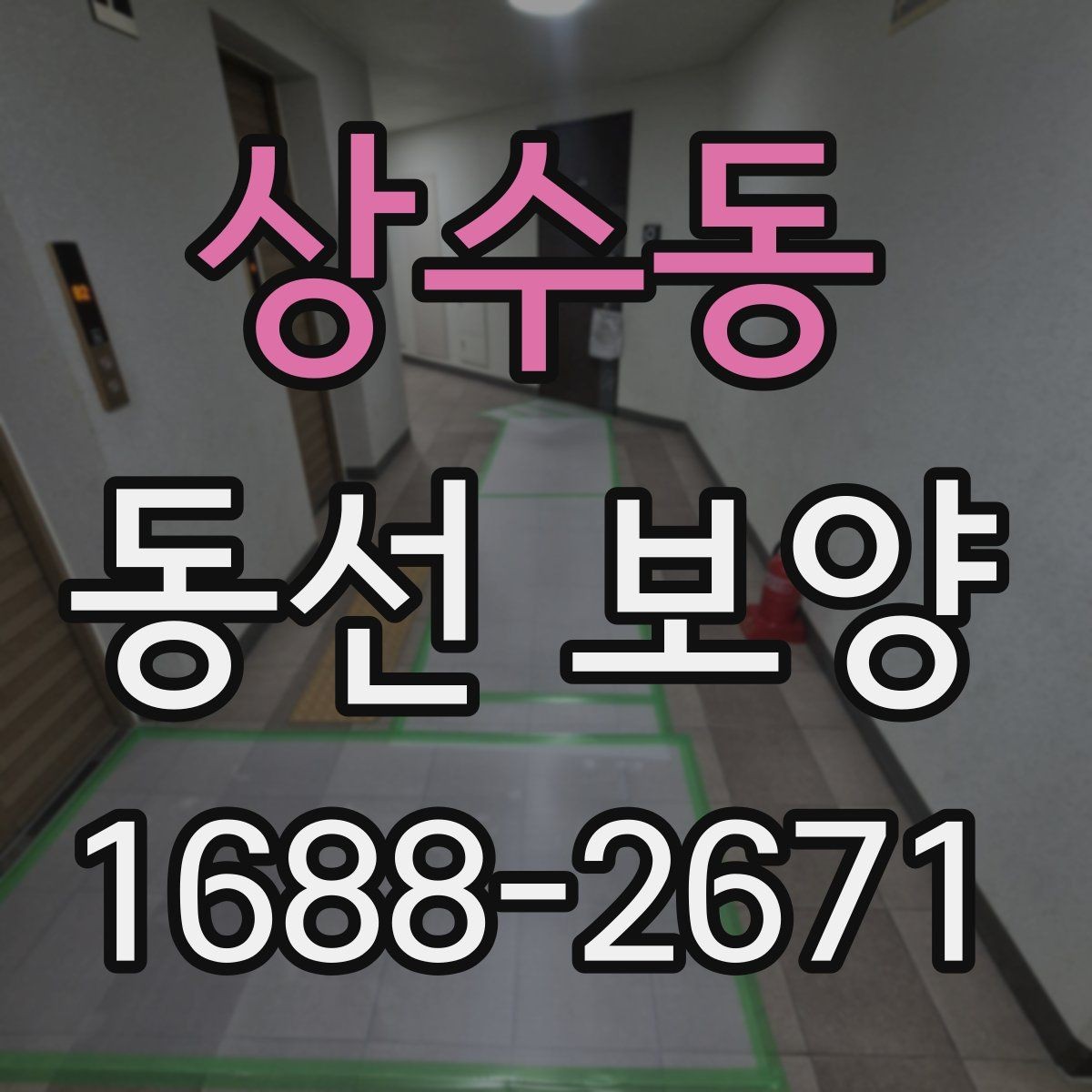 상수동 동선 보양 작업을 깔끔하게 마무리하는 법