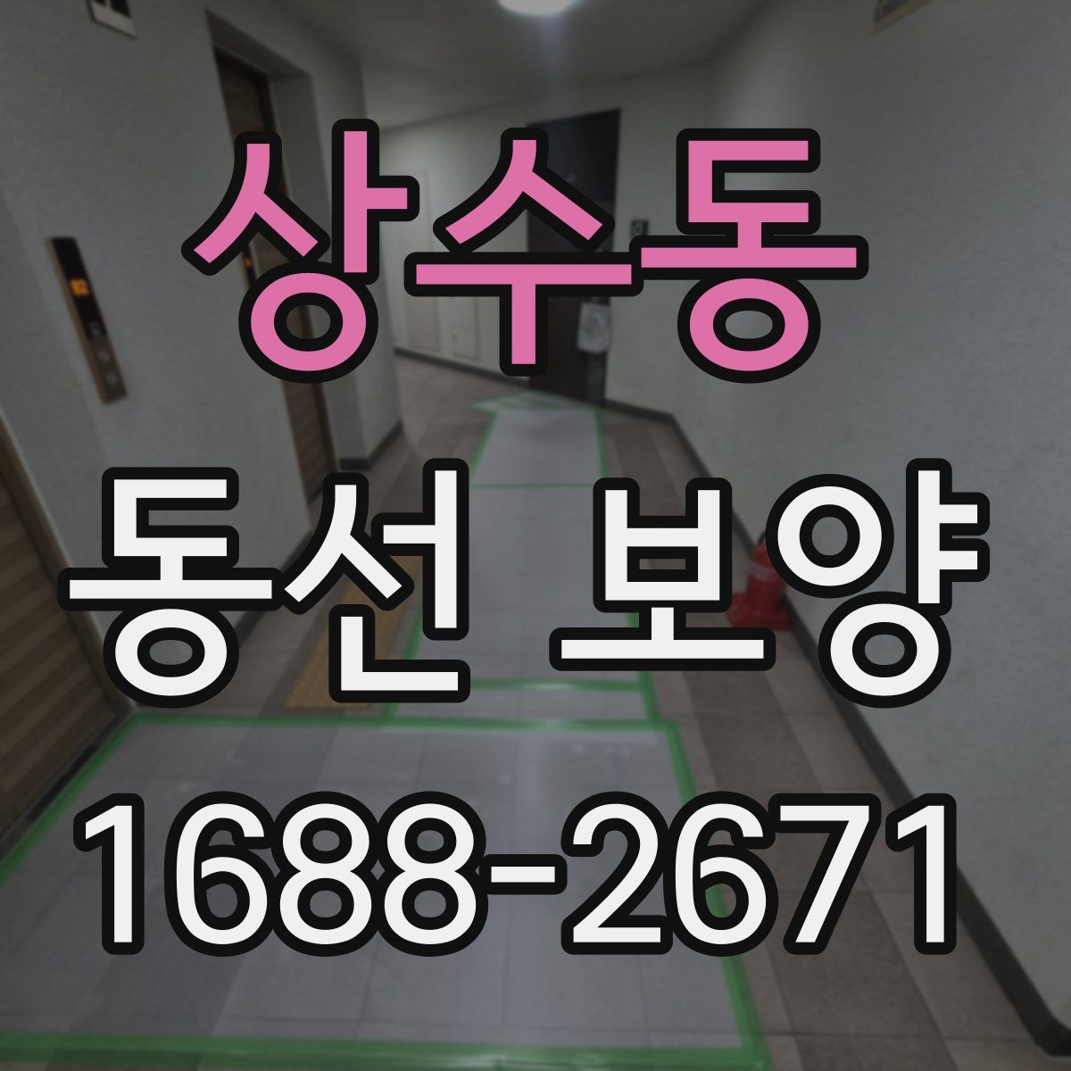상수동 동선 보양