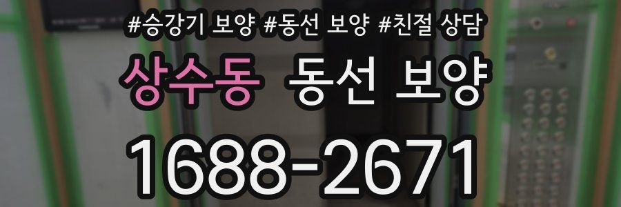 상수동 동선 보양