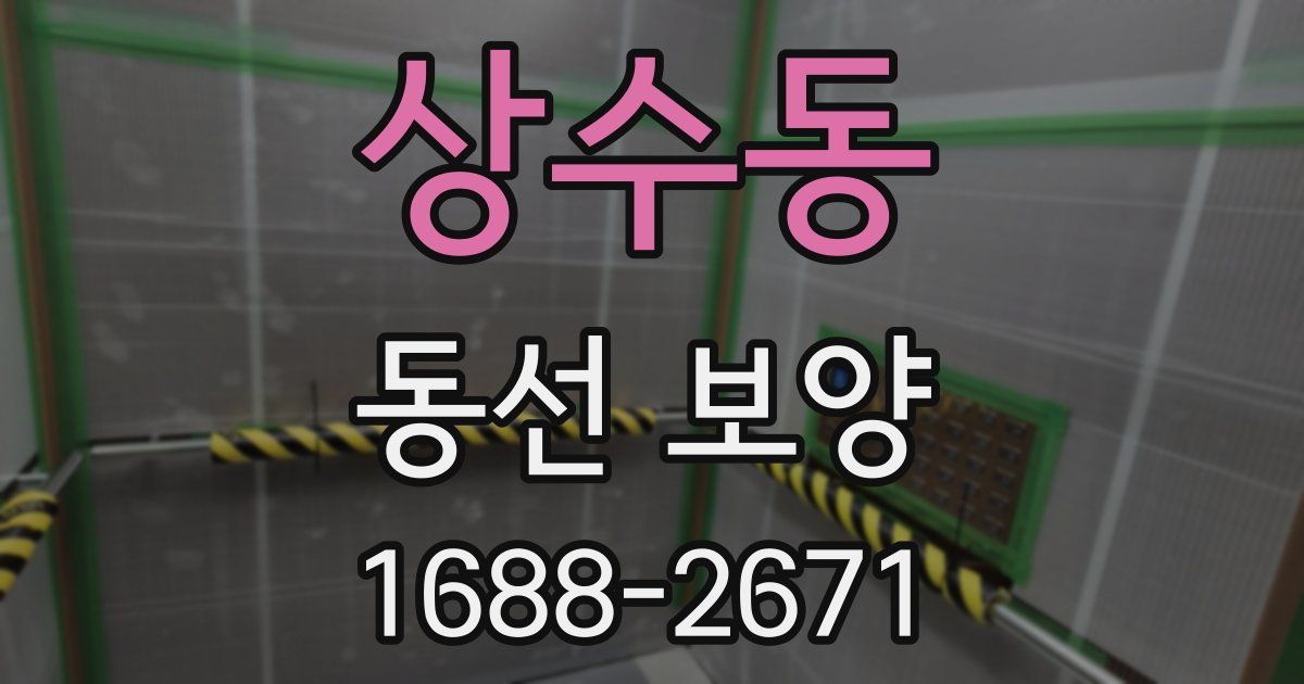 상수동 동선 보양