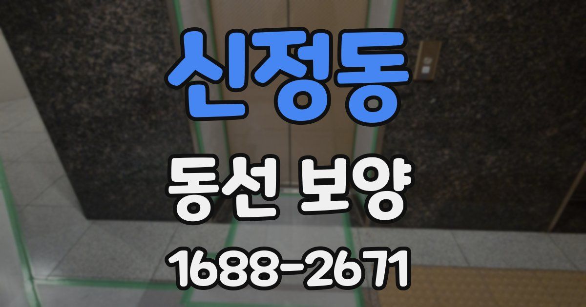 신정동 동선 보양