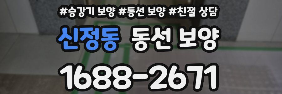 신정동 동선 보양