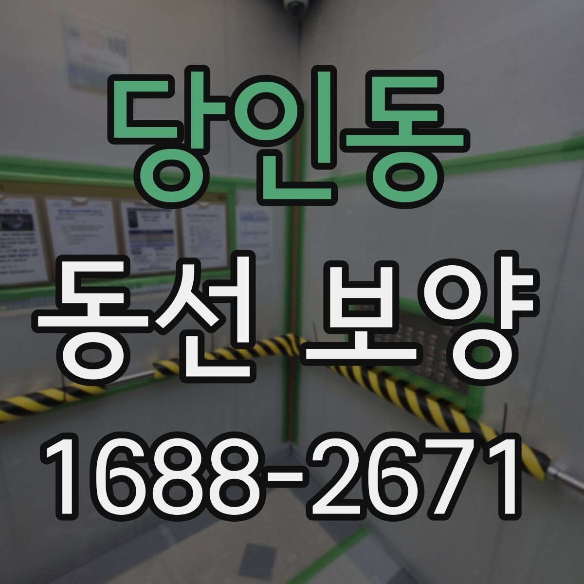당인동 동선 보양 작업에서 자주 묻는 질문 정리