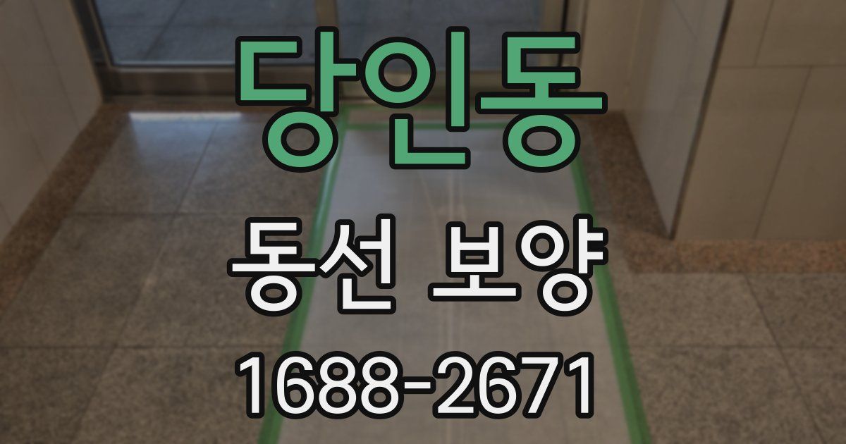 당인동 동선 보양