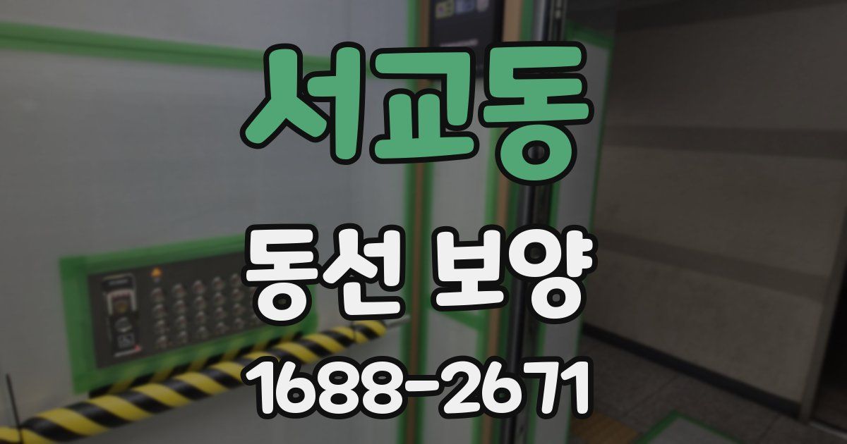 서교동 동선 보양