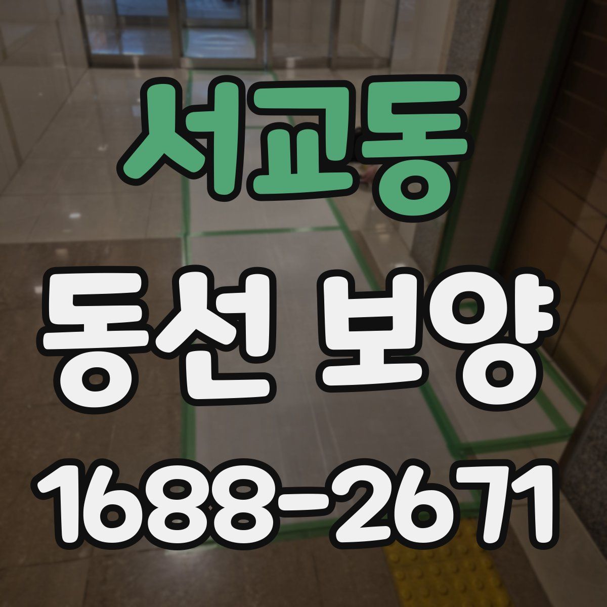 서교동 동선 보양