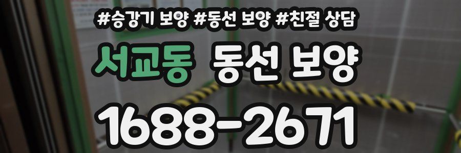 서교동 동선 보양
