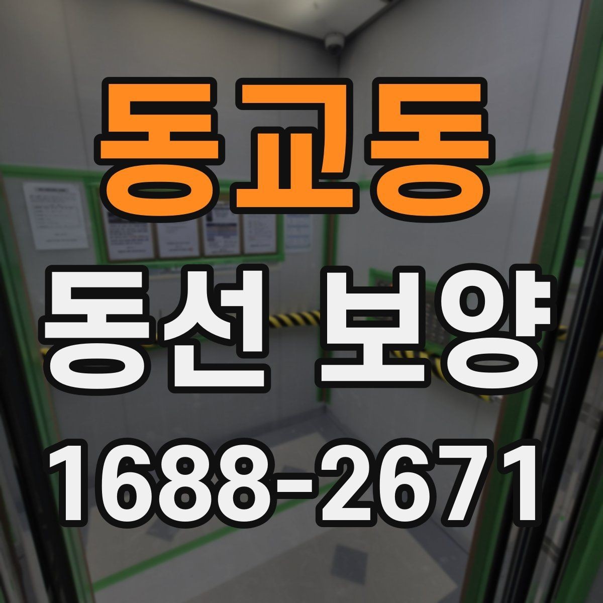 동교동 동선 보양 작업 순서를 이해하는 기본 안내