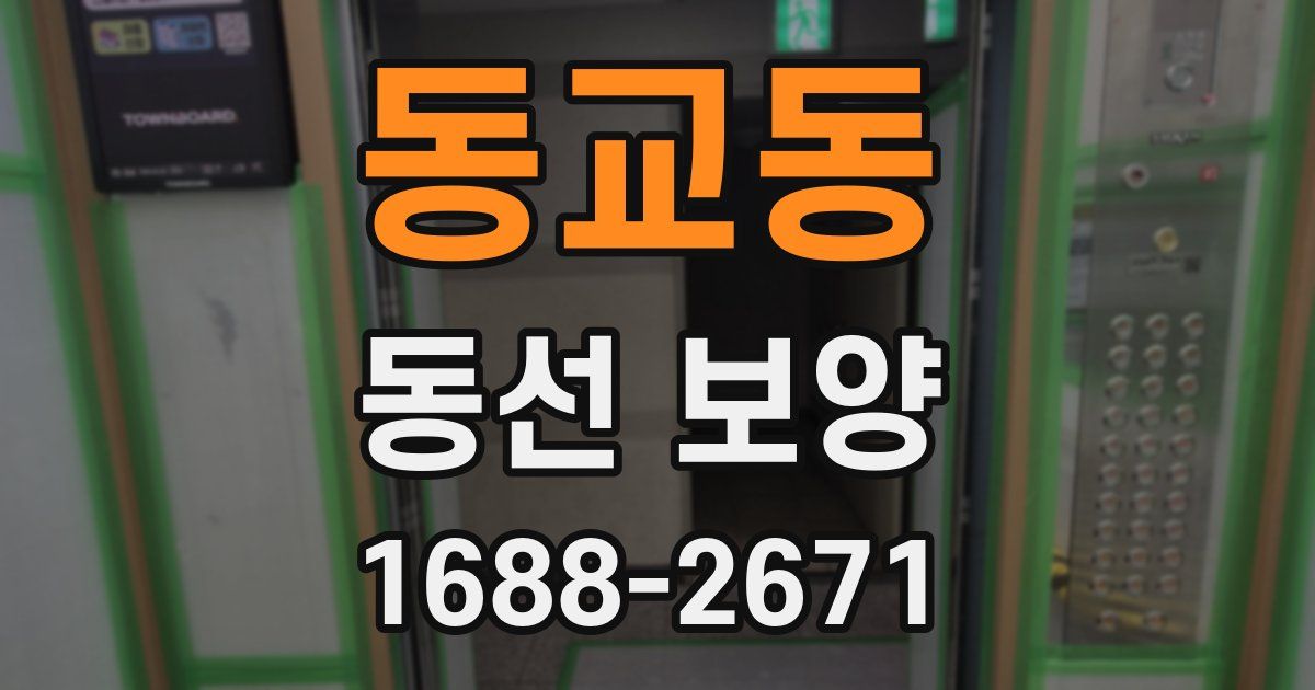 동교동 동선 보양