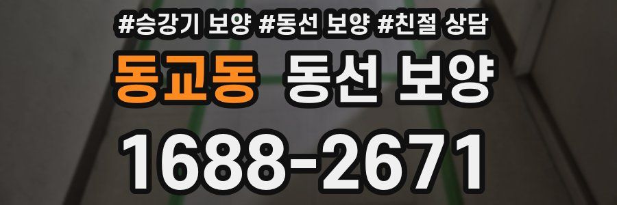 동교동 동선 보양
