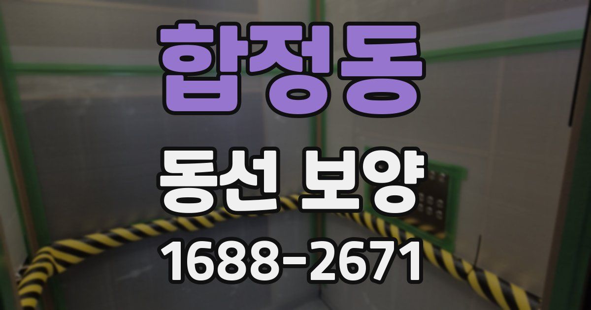 합정동 동선 보양
