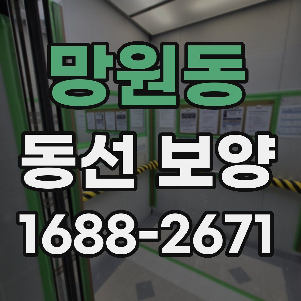 망원동 동선 보양 자재 판단 기준과 활용법