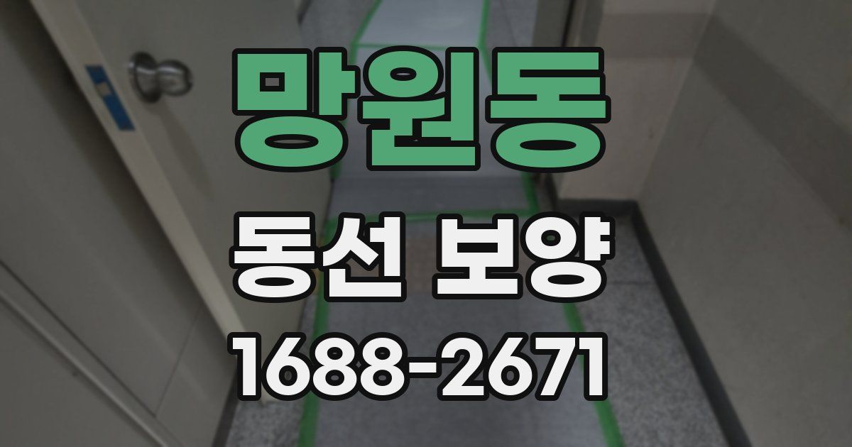 망원동 동선 보양