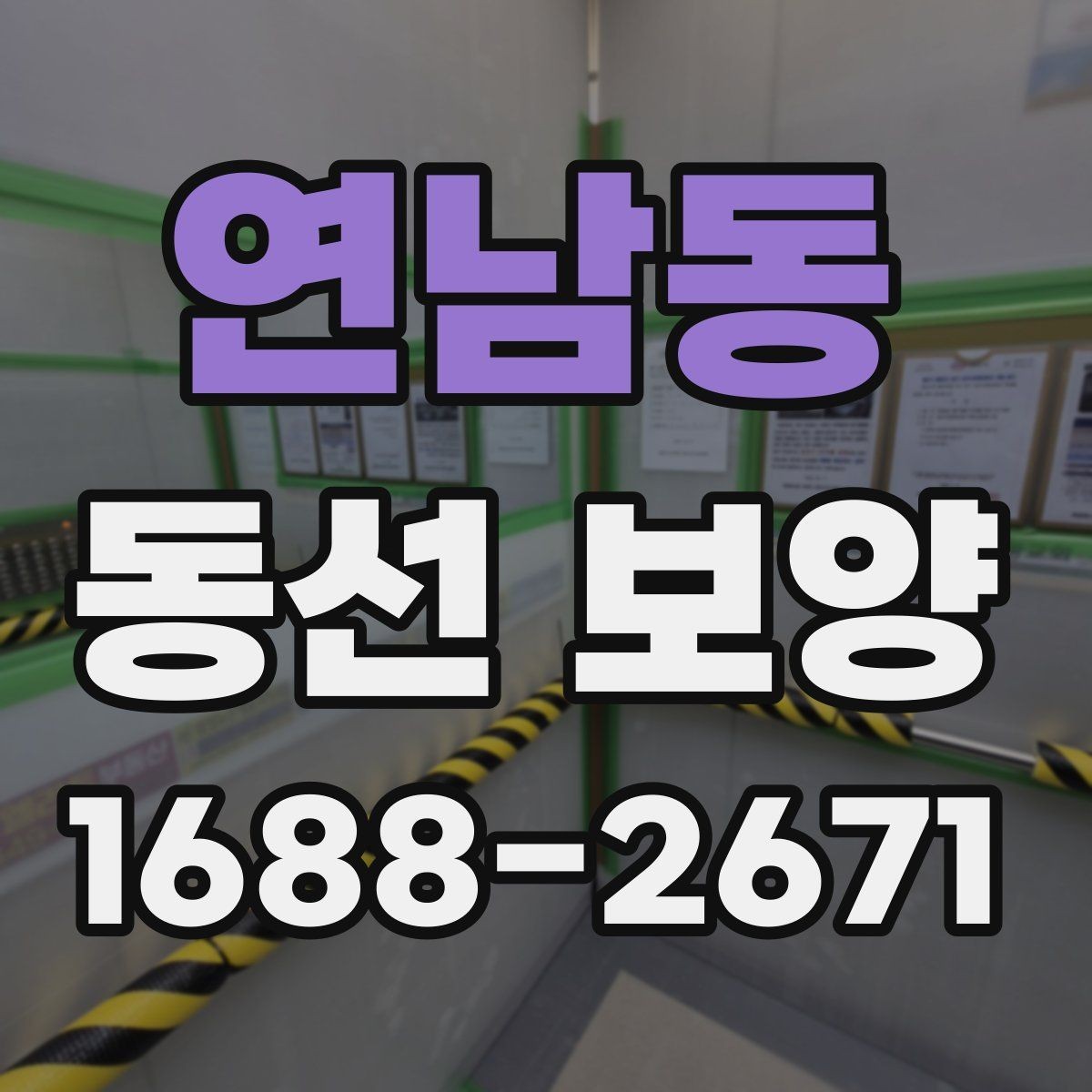 연남동 동선 보양 작업 범위와 현장 조건을 함께 보는 이유