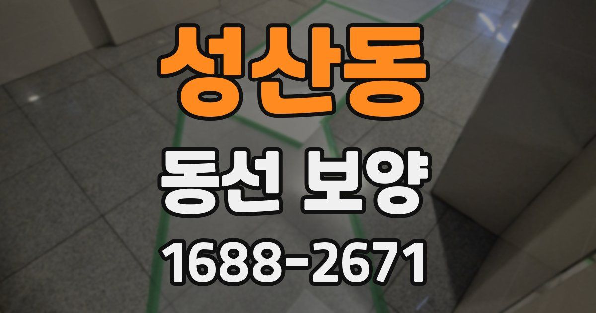 성산동 동선 보양