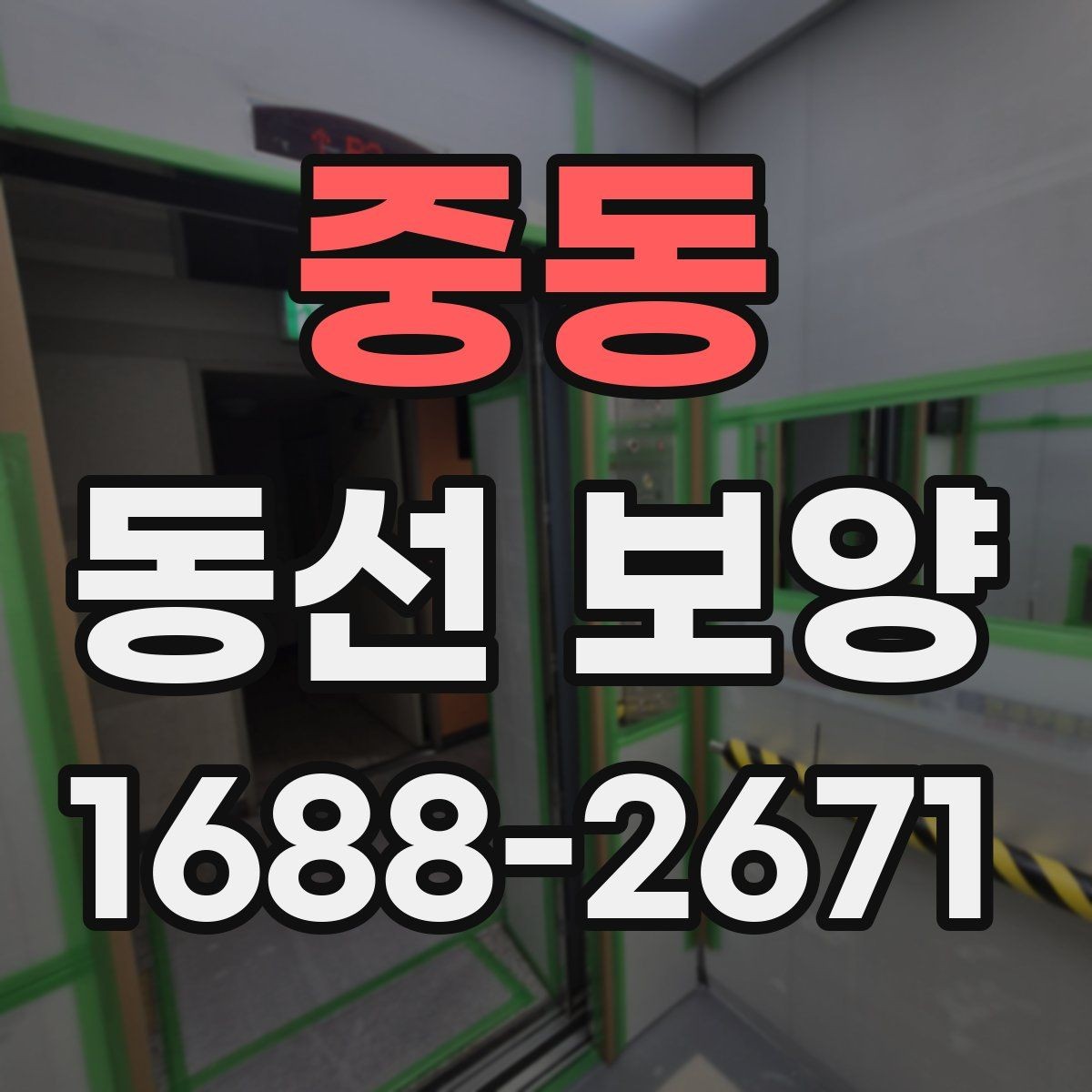 중동 동선 보양 비용을 줄이기 위한 선택 기준